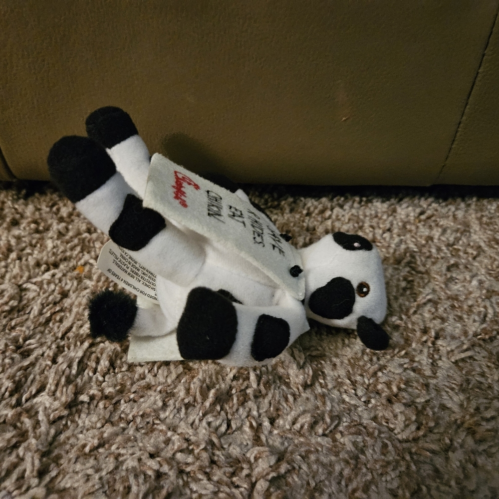 Chick Fil A Save R Hides Eat Chikin Cow - Picture 2 of 7